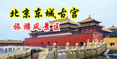 淫女骚逼屁眼中国北京-东城古宫旅游风景区